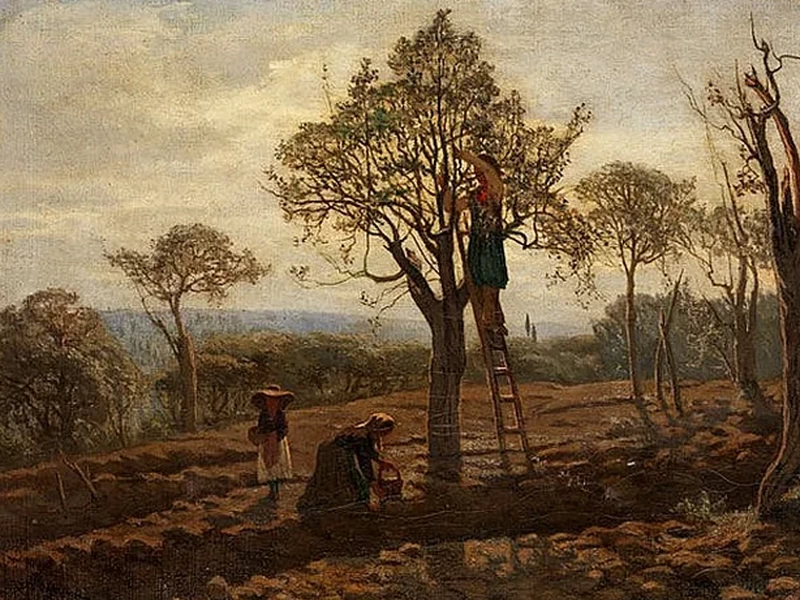 1845-Adolfo Bignami - La raccolta